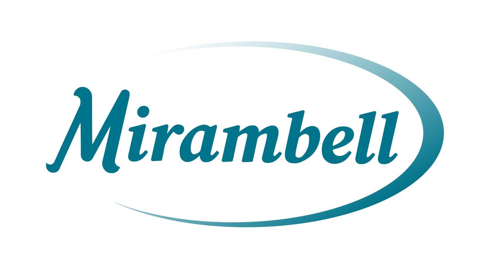 Logo ELECTRÒNICA MIRAMBELL SL